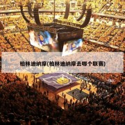 柏林迪纳摩(柏林迪纳摩去哪个联赛)