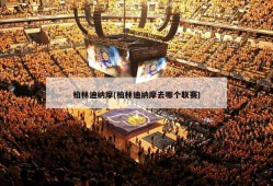 柏林迪纳摩(柏林迪纳摩去哪个联赛)