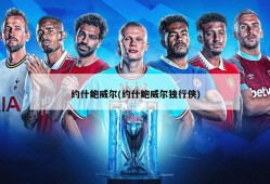 约什鲍威尔(约什鲍威尔独行侠)