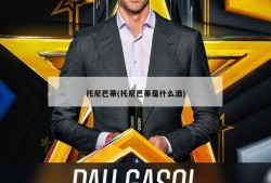 托尼巴蒂(托尼巴蒂是什么酒)