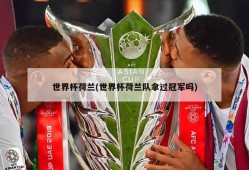 世界杯荷兰(世界杯荷兰队拿过冠军吗)
