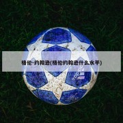 格伦-约翰逊(格伦约翰逊什么水平)