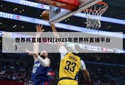 世界杯直播版权(2021年世界杯直播平台)