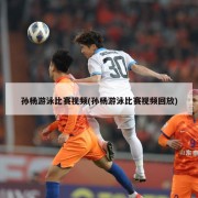 孙杨游泳比赛视频(孙杨游泳比赛视频回放)