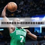切尔西转会禁令(切尔西转会禁令最新)