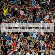 法国队世界杯名单(法国队世界杯名单公布)