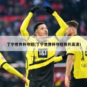 丁宁世界杯夺冠(丁宁世界杯夺冠照片高清)