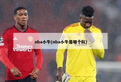 nba小牛(nba小牛是哪个队)