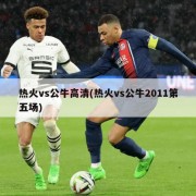 热火vs公牛高清(热火vs公牛2011第五场)