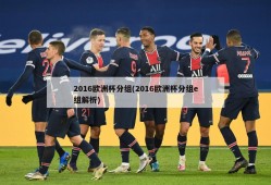 2016欧洲杯分组(2016欧洲杯分组e组解析)