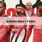 去说世界杯(我想问一下世界杯)