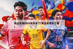 实况足球2010中文补丁(实况足球补丁版)