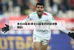 勇士vs猛龙(勇士vs猛龙2019总决赛回放)
