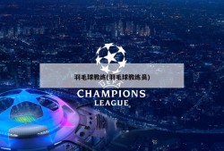 羽毛球教练(羽毛球教练员)
