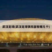 武汉足球(武汉足球俱乐部有哪几个)
