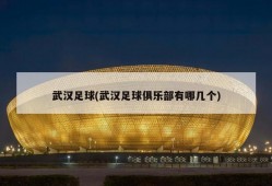 武汉足球(武汉足球俱乐部有哪几个)