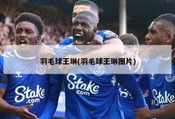 羽毛球王琳(羽毛球王琳图片)