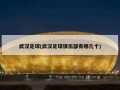 武汉足球(武汉足球俱乐部有哪几个)