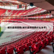 威尔森钱德勒(威尔森钱德勒什么水平)