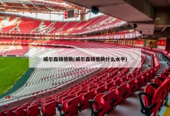威尔森钱德勒(威尔森钱德勒什么水平)