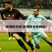 欧洲杯分析(欧洲杯分析网站)