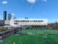 北京奥运会是第几届(2020奥运会在哪个国家)