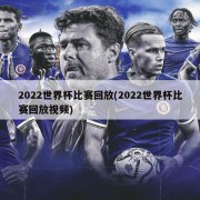 2022世界杯比赛回放(2022世界杯比赛回放视频)