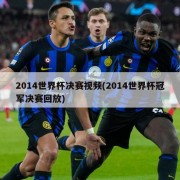2014世界杯决赛视频(2014世界杯冠军决赛回放)