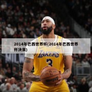 2014年巴西世界杯(2014年巴西世界杯决赛)