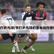 学打乒乓球(学打乒乓球的基本动作视频)