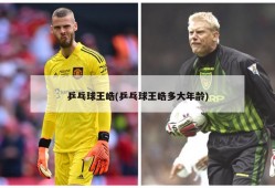 乒乓球王皓(乒乓球王皓多大年龄)