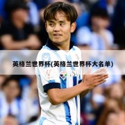 英格兰世界杯(英格兰世界杯大名单)