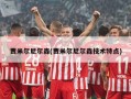 贾米尔尼尔森(贾米尔尼尔森技术特点)