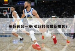 英超转会一览(英超转会最新排名)