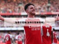 加索尔臂展(加索尔臂展视频)