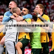 cctv5世界杯(CCTV5世界杯解说员)