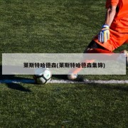 莱斯特哈德森(莱斯特哈德森集锦)