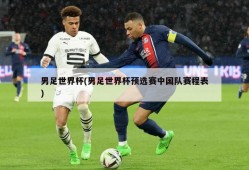 男足世界杯(男足世界杯预选赛中国队赛程表)