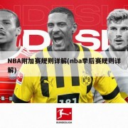NBA附加赛规则详解(nba季后赛规则详解)