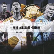 斯托拉里(拉里·斯托奇)