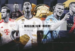 斯托拉里(拉里·斯托奇)