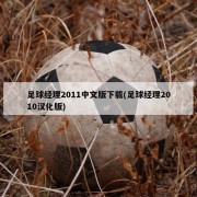 足球经理2011中文版下载(足球经理2010汉化版)