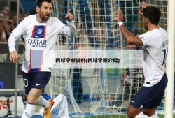 网球李娜资料(网球李娜介绍)