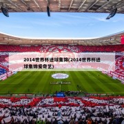 2014世界杯进球集锦(2014世界杯进球集锦爱奇艺)
