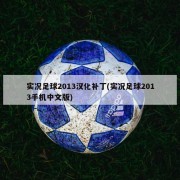 实况足球2013汉化补丁(实况足球2013手机中文版)