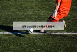 足球心水(足球心水是什么意思啊)
