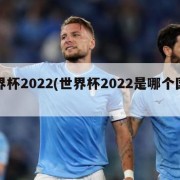 世界杯2022(世界杯2022是哪个国家)