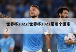 世界杯2022(世界杯2022是哪个国家)