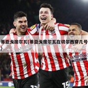 蒂亚戈席尔瓦(蒂亚戈席尔瓦在切尔西穿几号)