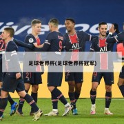 足球世界杯(足球世界杯冠军)